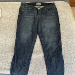 Wit & Wisdom | “Ab”Solution Straight Leg Jeans (Size 16W)